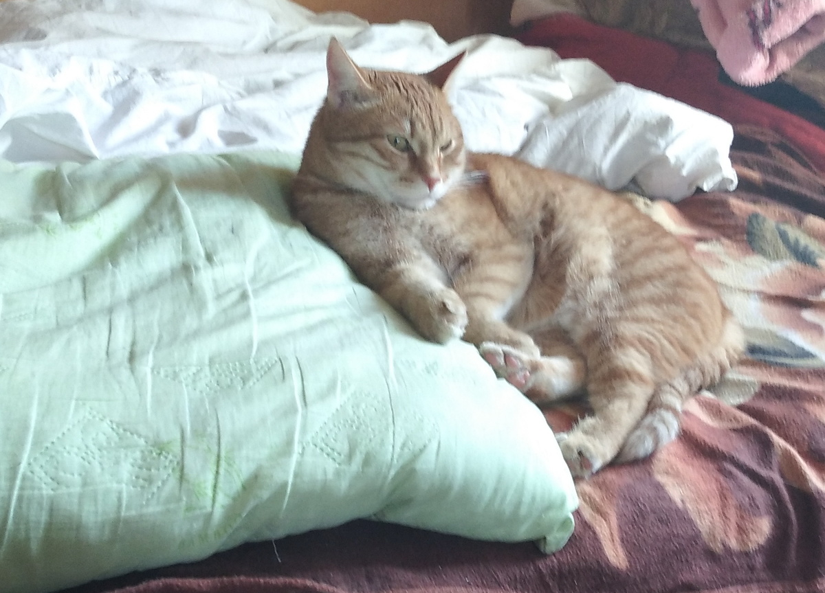 Личное  фото