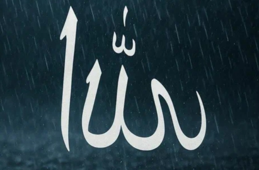 Фото: коллаж Синергетика