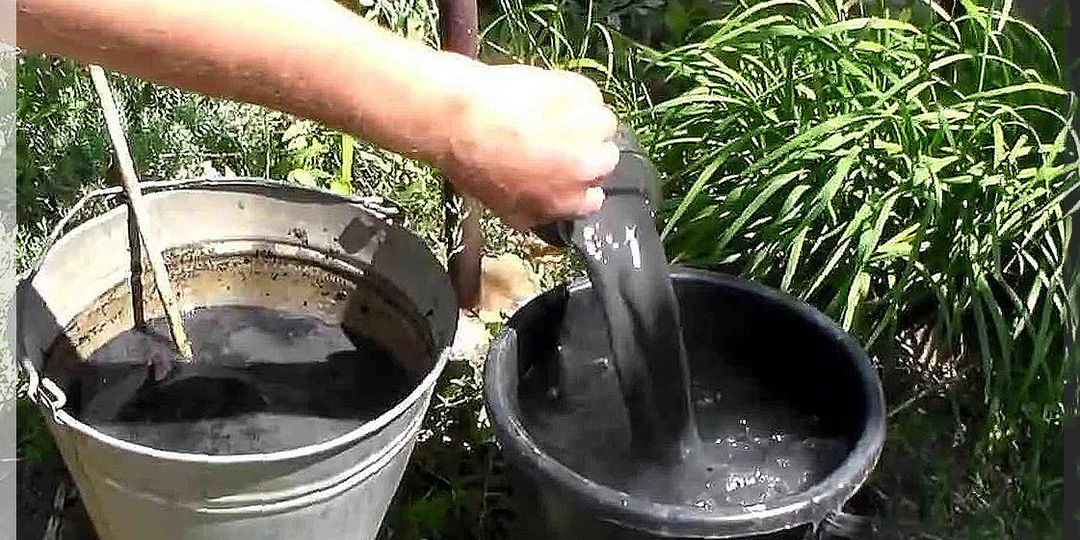 Уксус и лимонная кислота - два способа гашения золы: рецепты золы с уксусом и лимонной кислотой, какой вариант лучше для подкормки растений