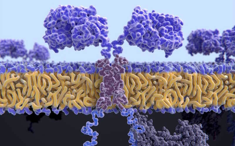 Открыт способ лечения рака легких и его смертельно опасных побочных эффектов