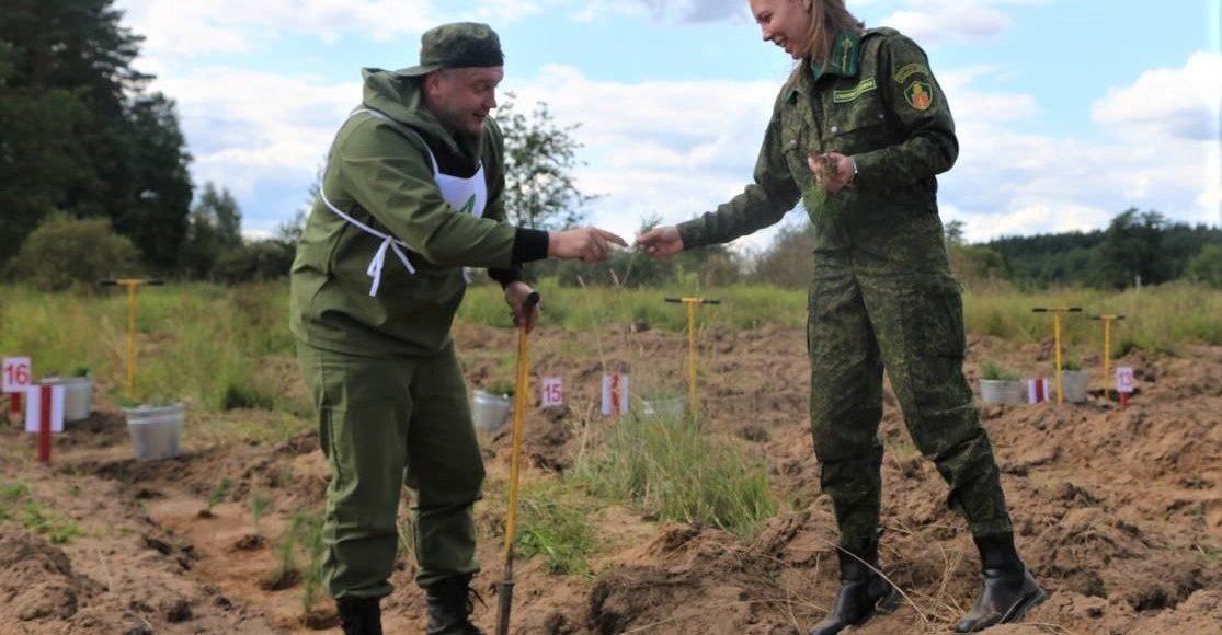   Фото: Пресс-служба Комитета лесного хозяйства Московской области