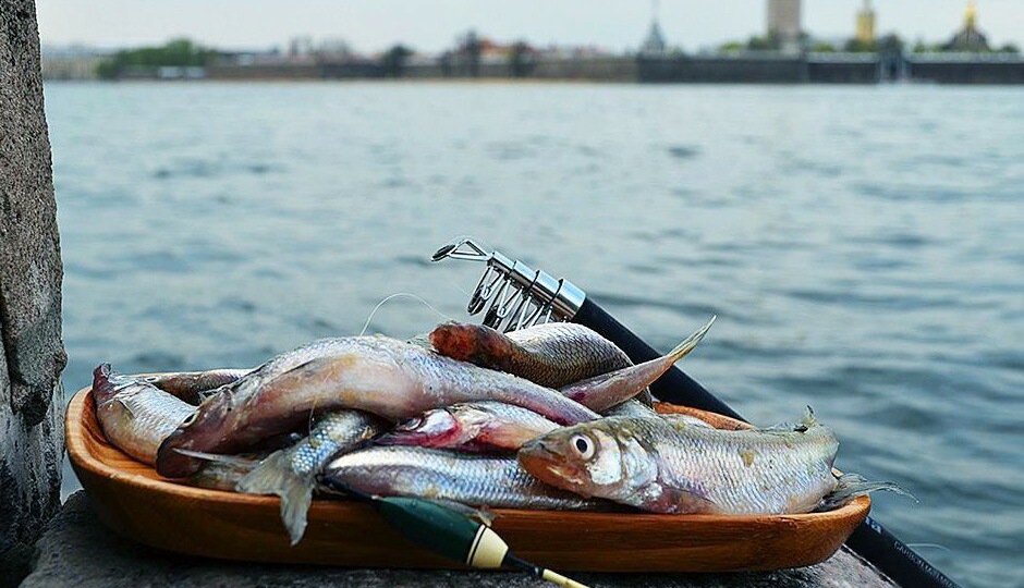 Как ловить корюшку