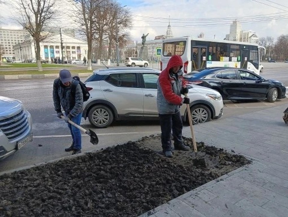    Фото - мэрии Воронежа