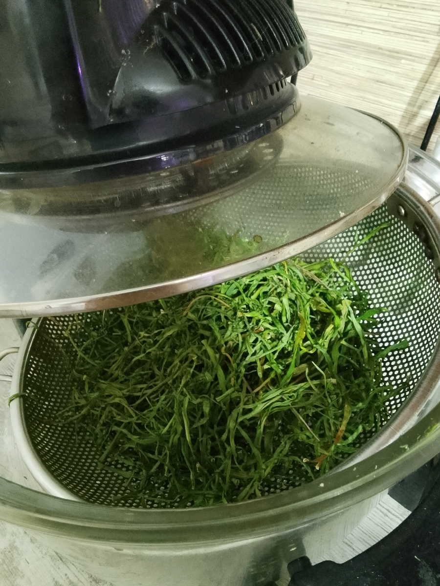 Зелень чеснока отлично сохнет в аэрогриле, не теряя цвет