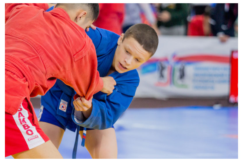 Изображение взято из свободного доступа в сети интернет.