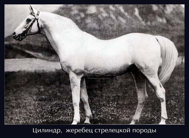 Из Яндекса. Тот самый Цилиндр. 