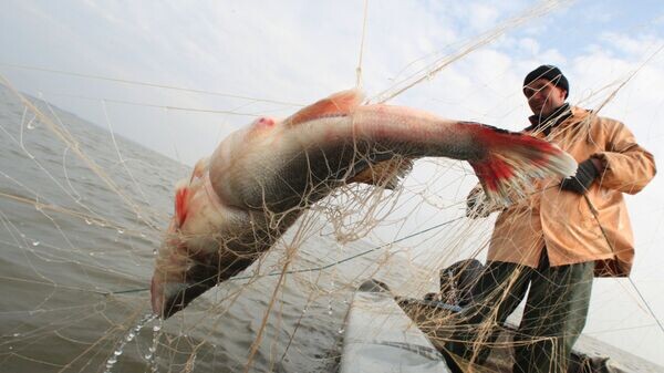    © Sputnik / Игорь Зарембо