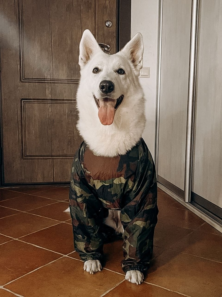 -2