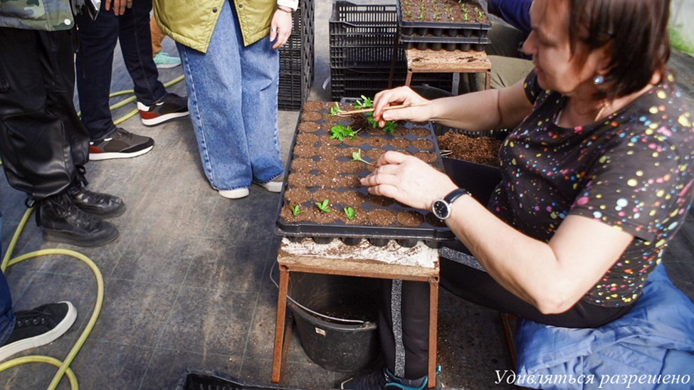 ручками рассаживают