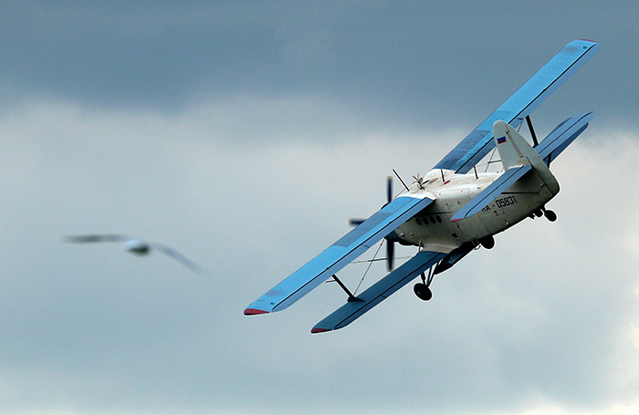    Самолет Ан-2.Эрик Романенко/ТАСС