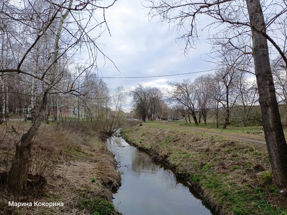 Река Лыбедь