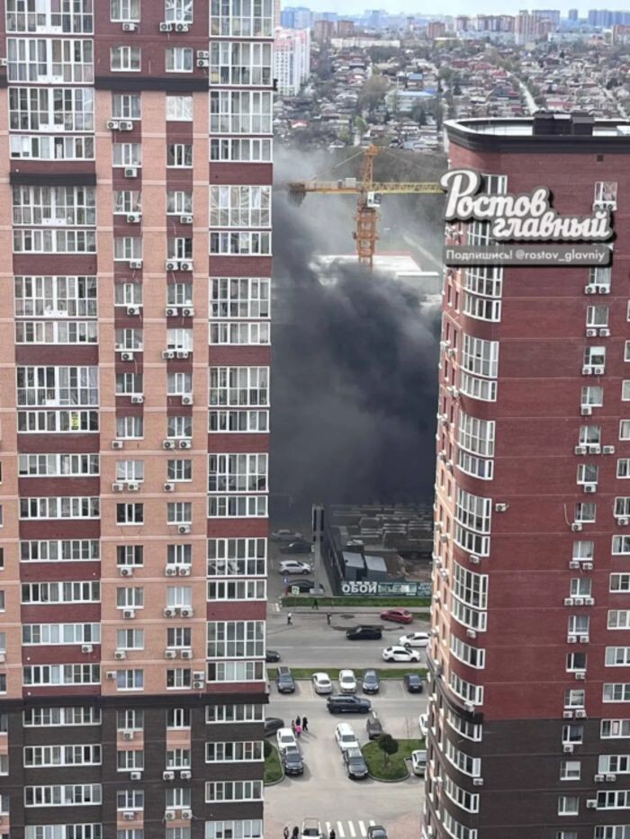 Иллюстрация: Соцсети