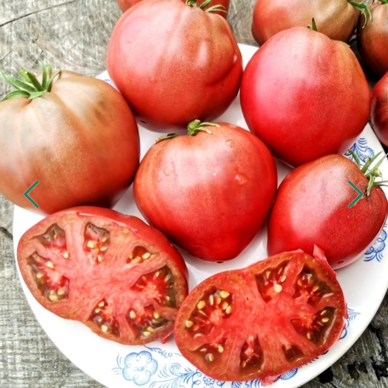 Фото из интернета