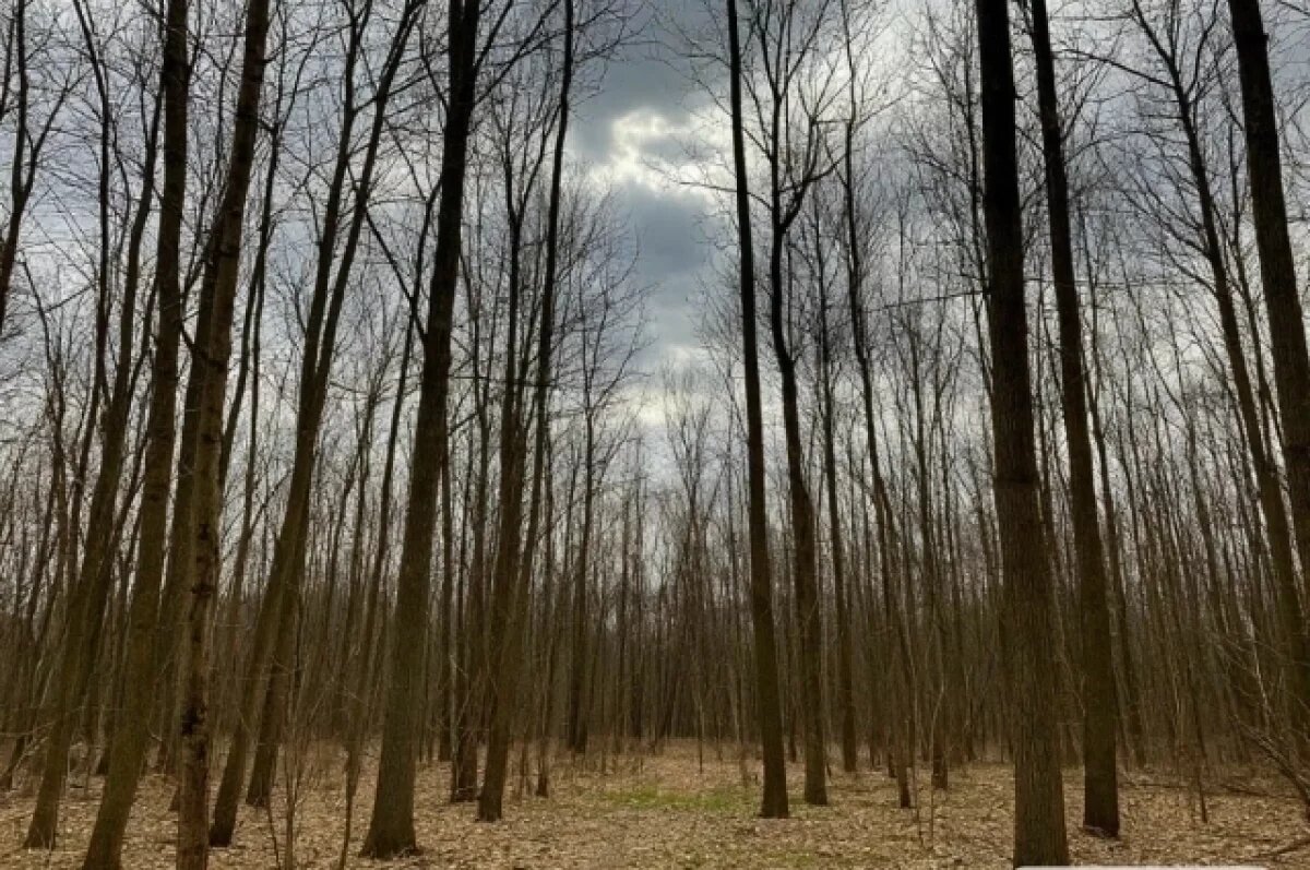    Парнишка сам попросил дядю взять его с собой на охоту.