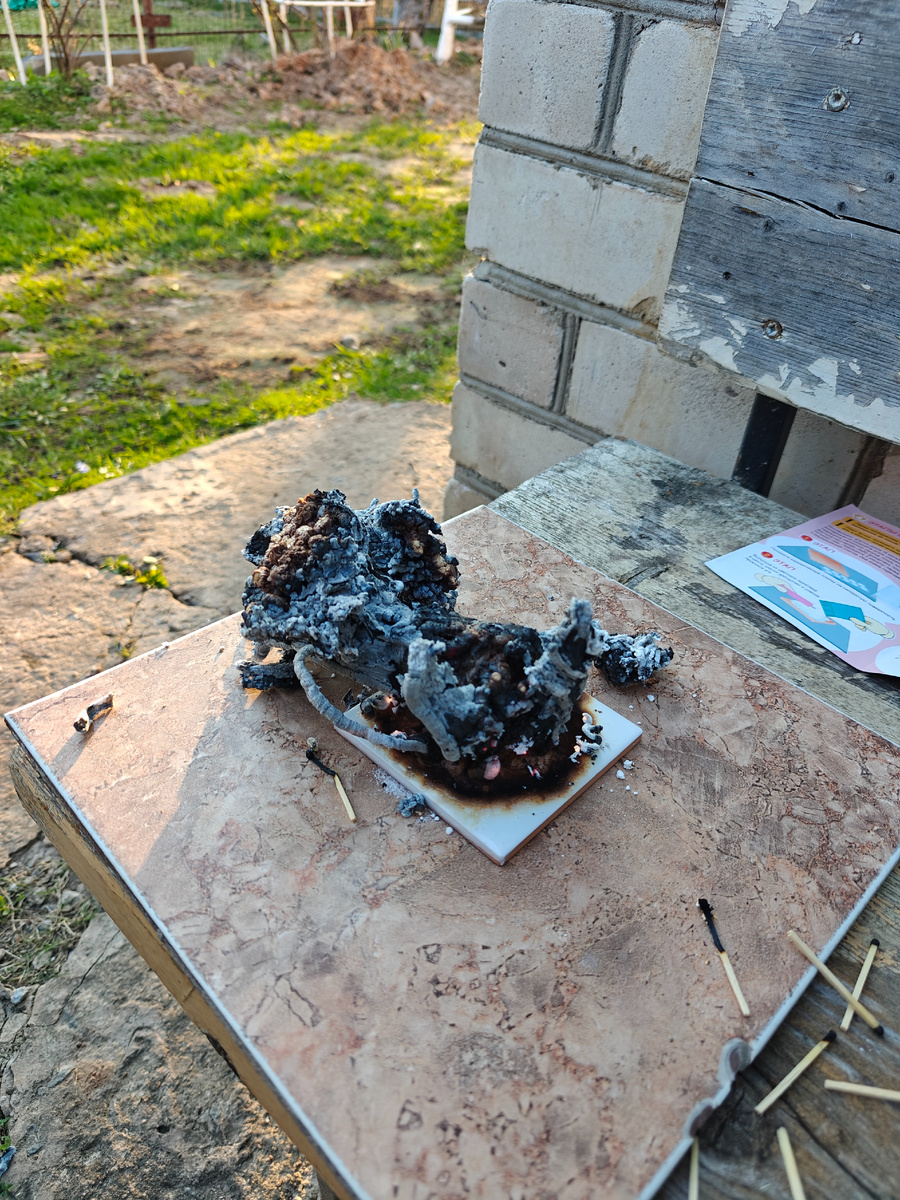 Это термохимическая реакция, покупной опыт называется фараонова змея - сложили три разных компонента, подожгли, пошла реакция... 