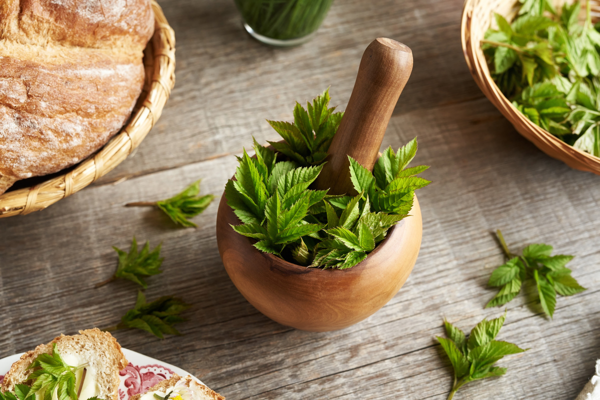 Madeleine_Steinbach/istock