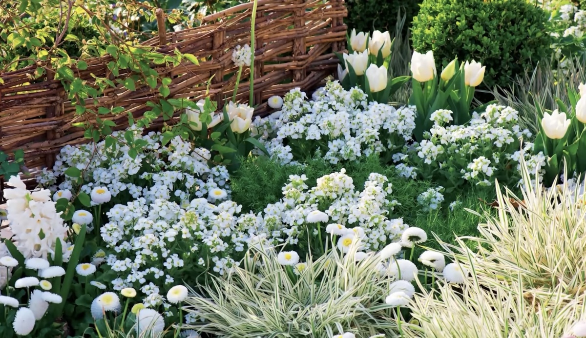 Фото из интернета