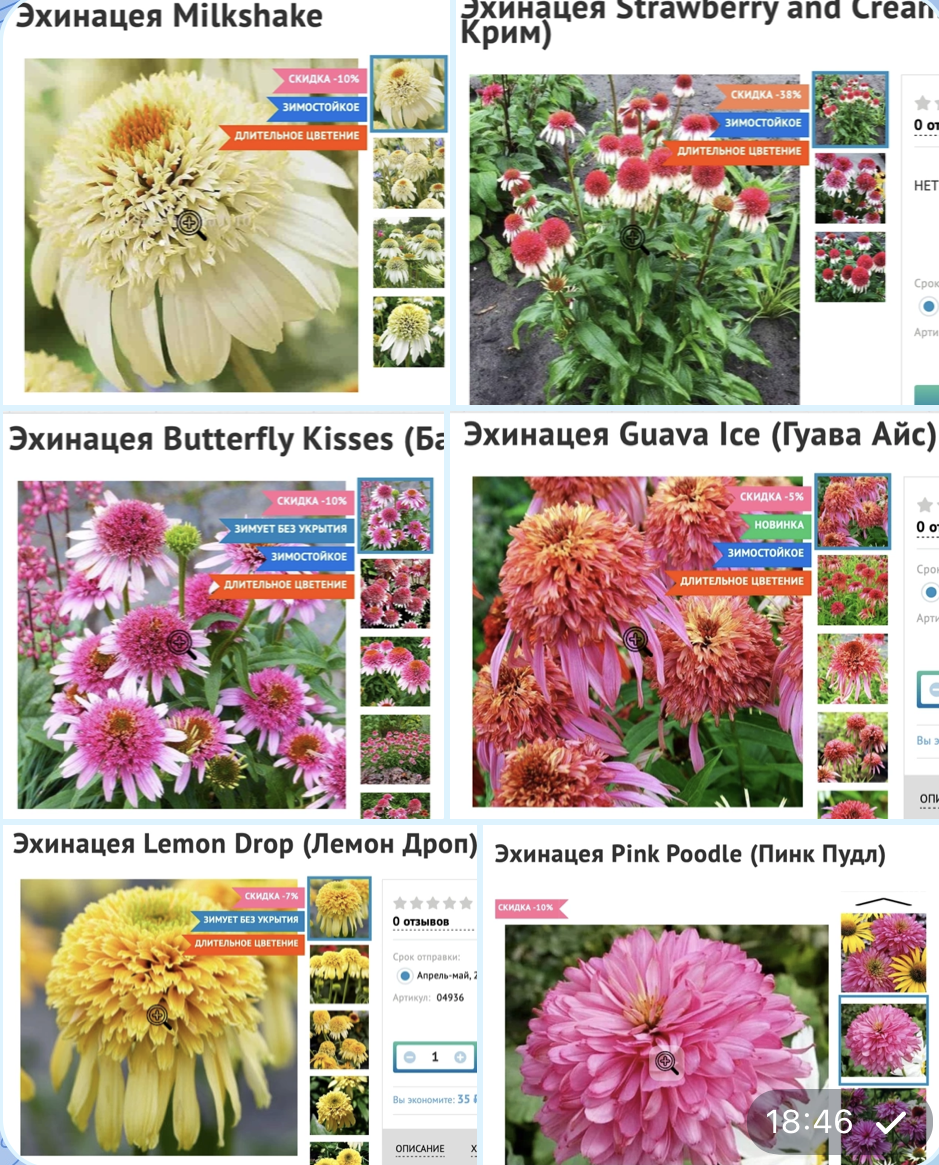 Не очень ровно получилось скачать картинки из заказа, но фото и названия видно.