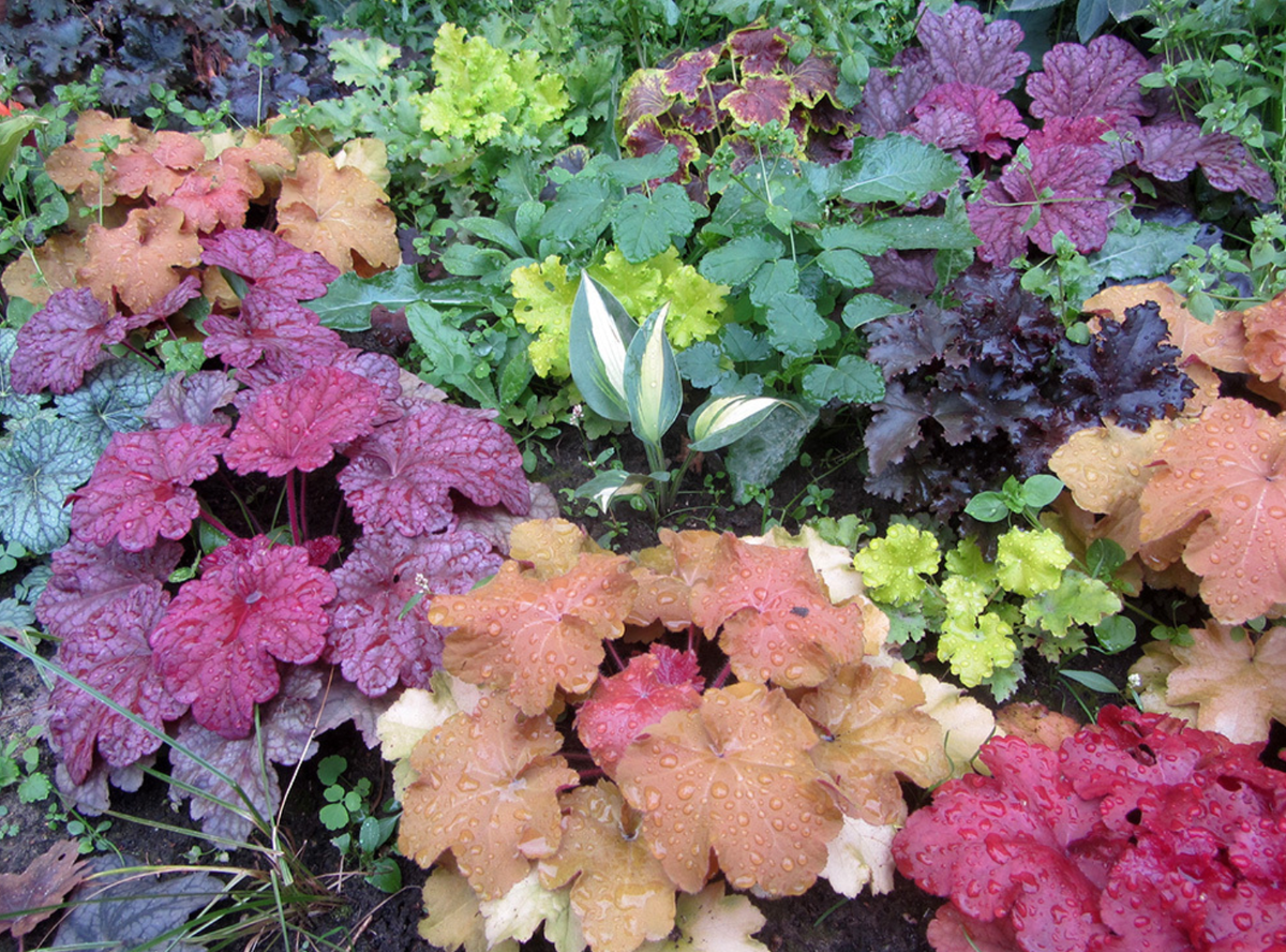 Фото из интернета