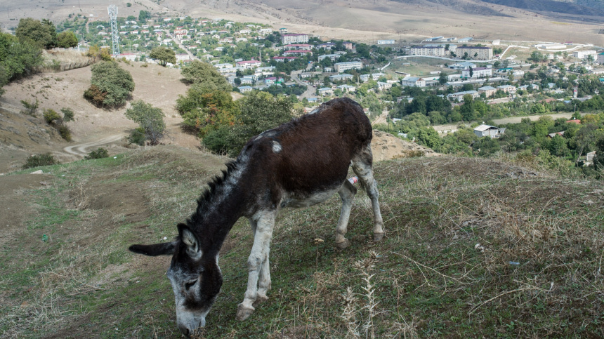    Фото: © РИА Новости/Илья Питалев; 5-tv.ru
