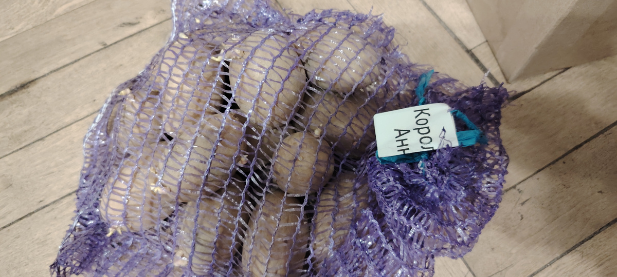 Королева Анна