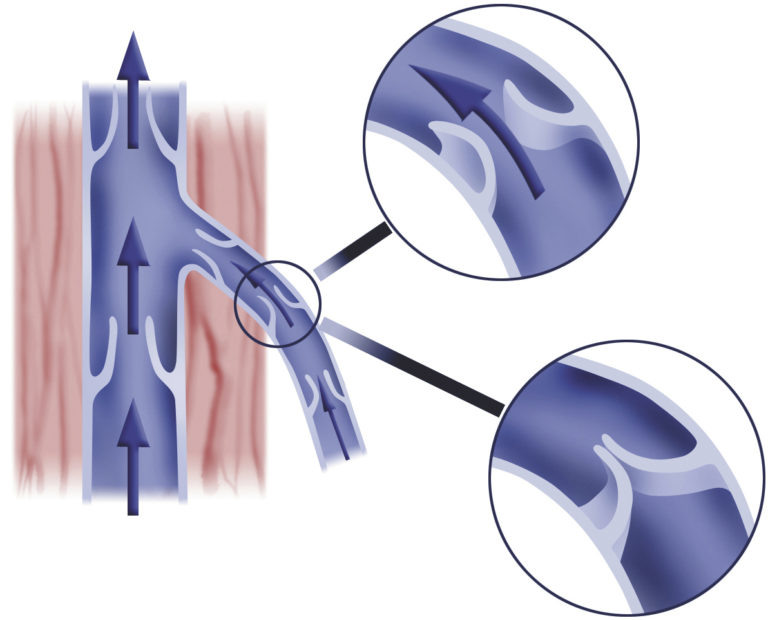 фото из открытого источника