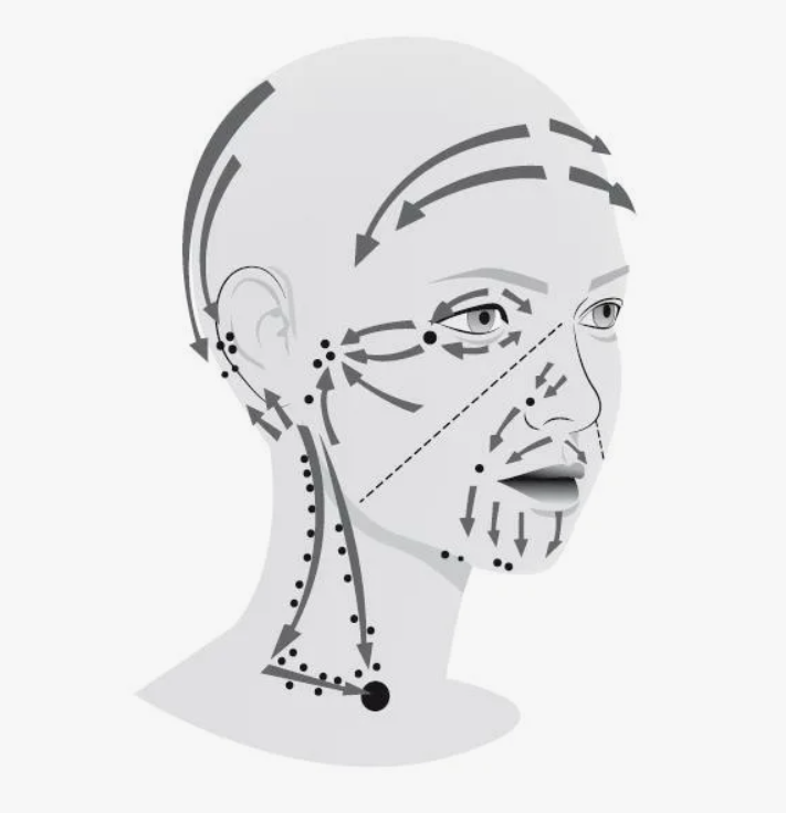 Движение лимфы в зоне лица