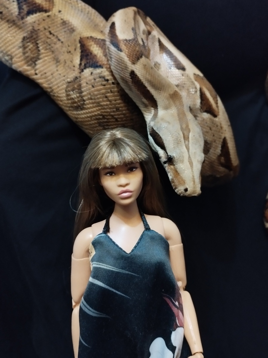 Данка и Пуаро.Это фото я уже публиковала на удаленном канале.НО мне оно нравится.