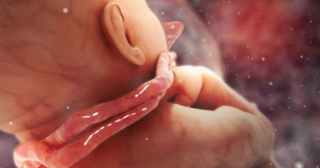 Причины гипоксии плода во время беременности