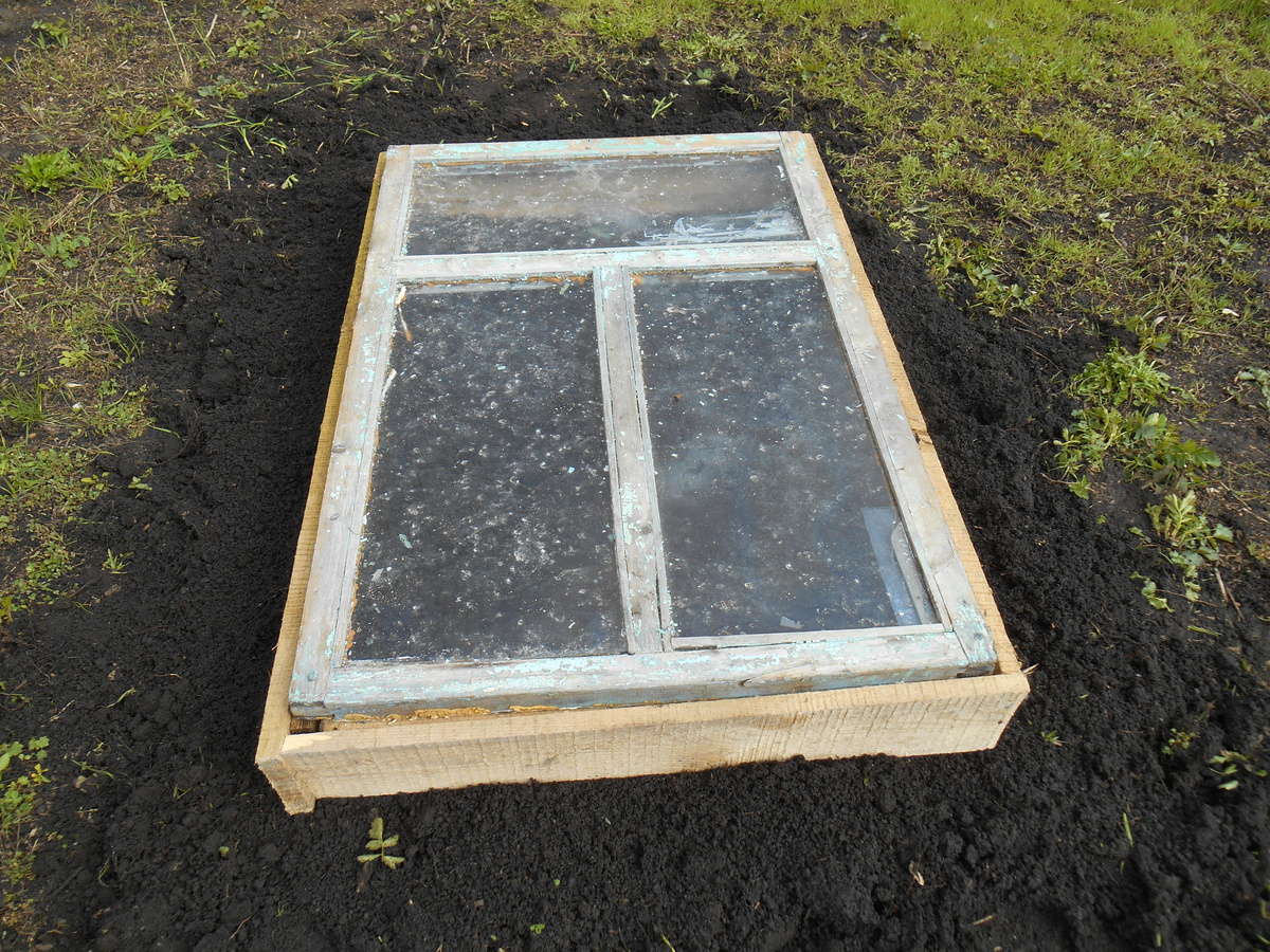Парник под оконной рамой