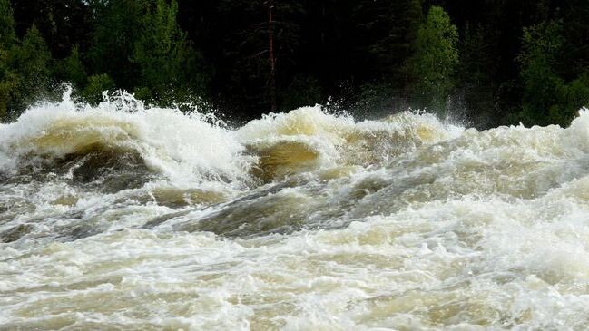    Фото: Scandphoto/Shutterstock/Fotodom