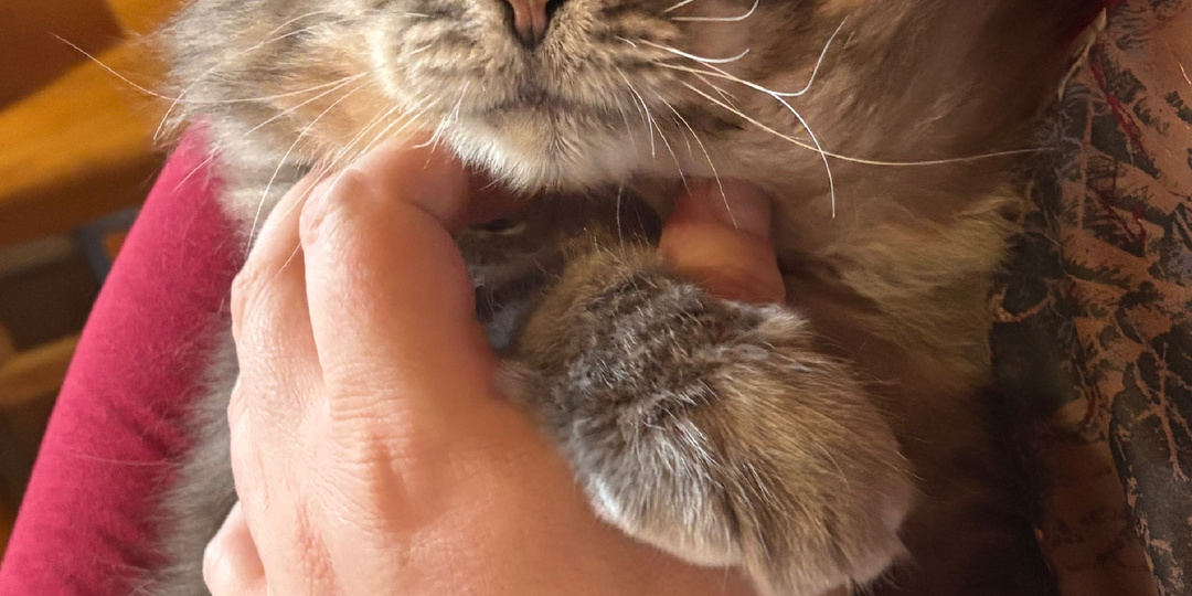 Филя вспомнил то, что мы давно забыли