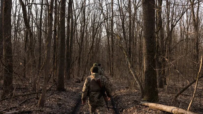    Источник: russian.rt.com Игорь Никольский