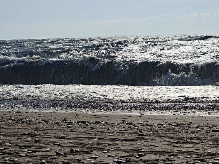     Фото: архив «МК в Калининграде»