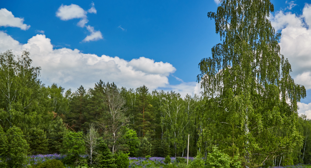 Журналист. Священная гора (продолжение).