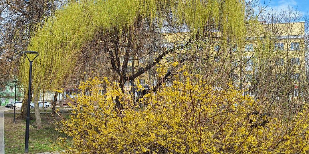 Внеплановый забег