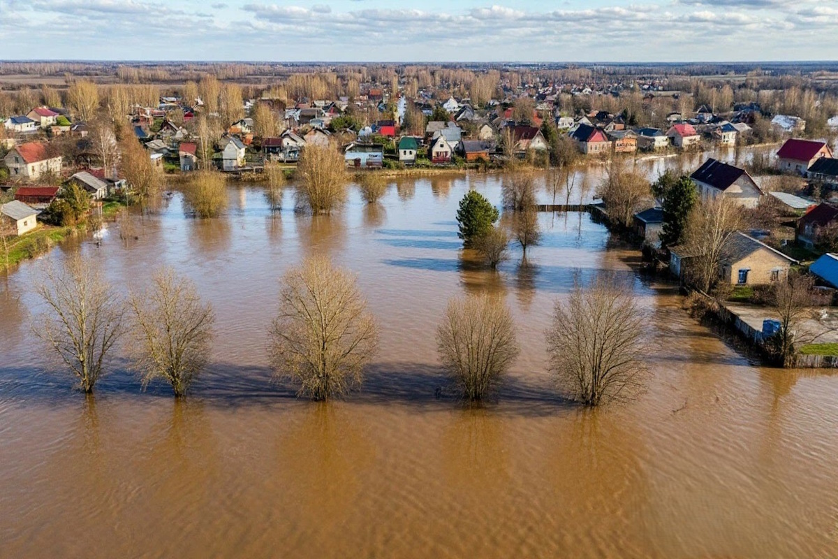    Фото: коллаж RuNews24.ru