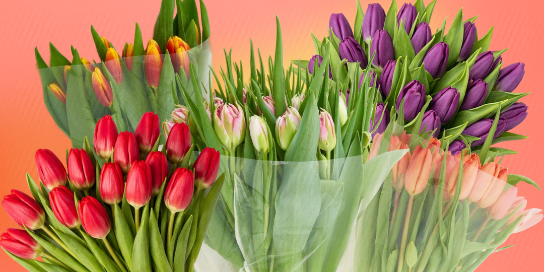 15 тюльпанов за 2300 рублей! Как я собираю дешевые и шикарные букеты сама