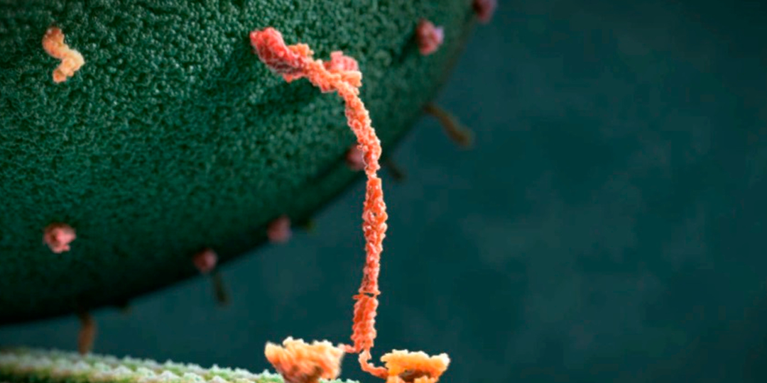 Биологические «роботы» внутри нас!