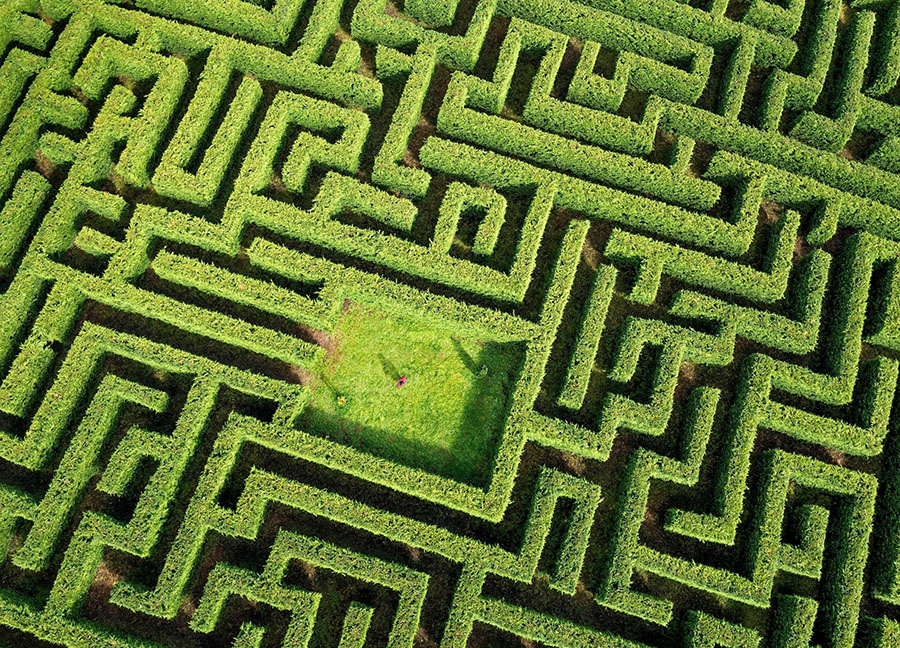 рисунок взят из открытых источников