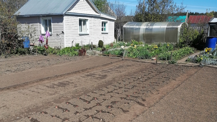    Фото progorod43.ru