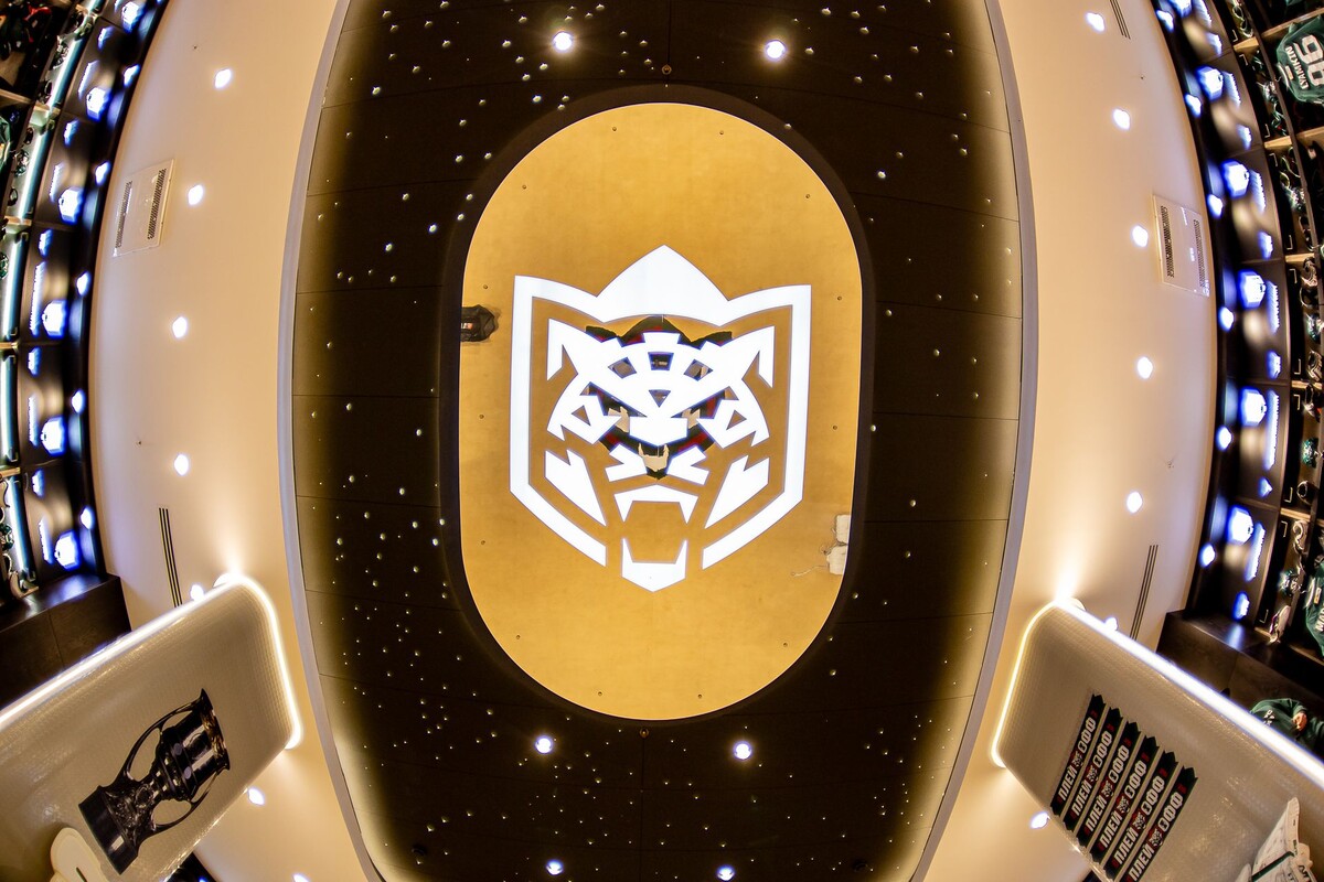 Логотип ХК "Ак Барс" / фото: https://www.ak-bars.ru/