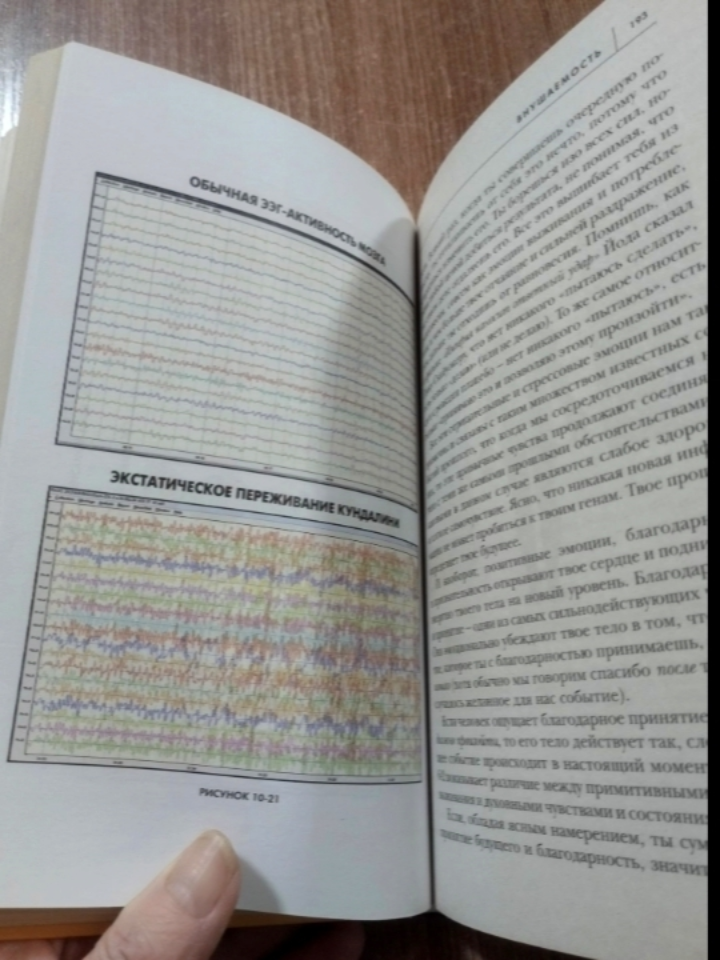 Нейрофизиология .