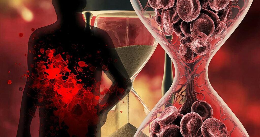 🍸 Алкоголь под микроскопом: что происходит с мозгом, сердцем и сосудами на самом деле