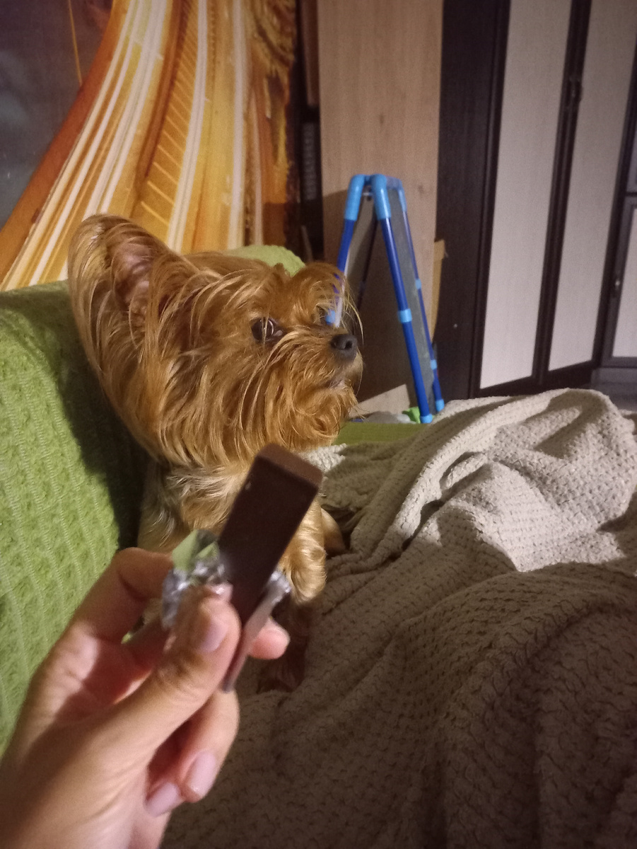 Но не шоколад! 