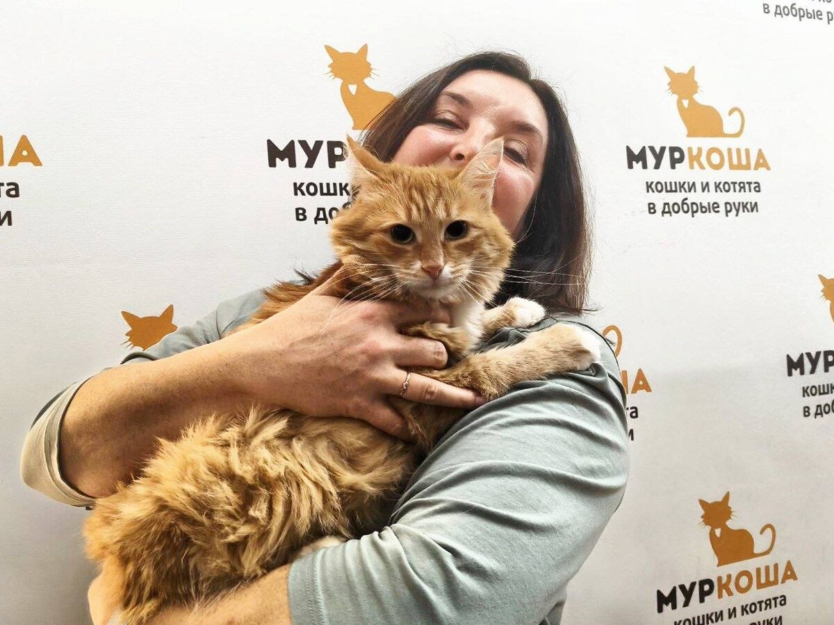 Милый питомец нашёл своё счастье. 