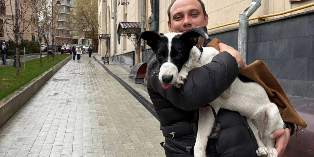 Найдена и поймана в канун Пасхи, такая сплоченность людей дорогого стоит, до слез 🙏🥹