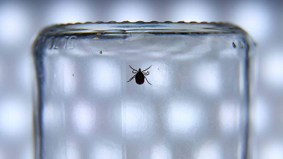    Фото: ИЗВЕСТИЯ/Полина Фиолет