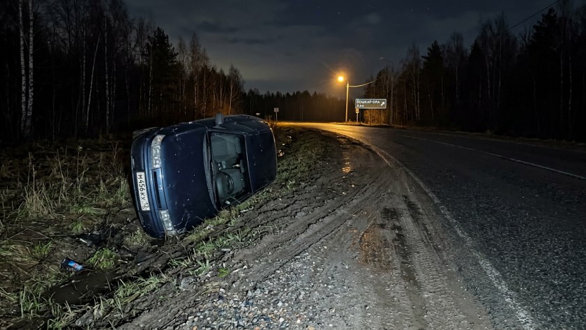    Фото ИИ pg12.ru