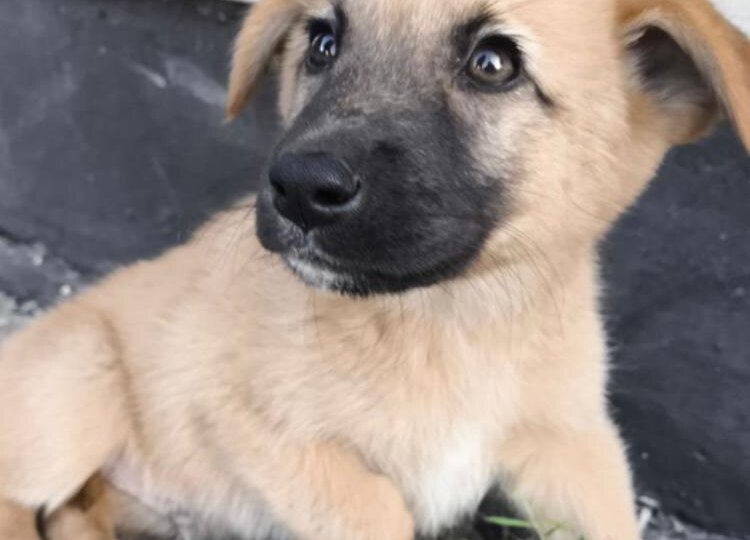 Откройте, люди наконец глаза!